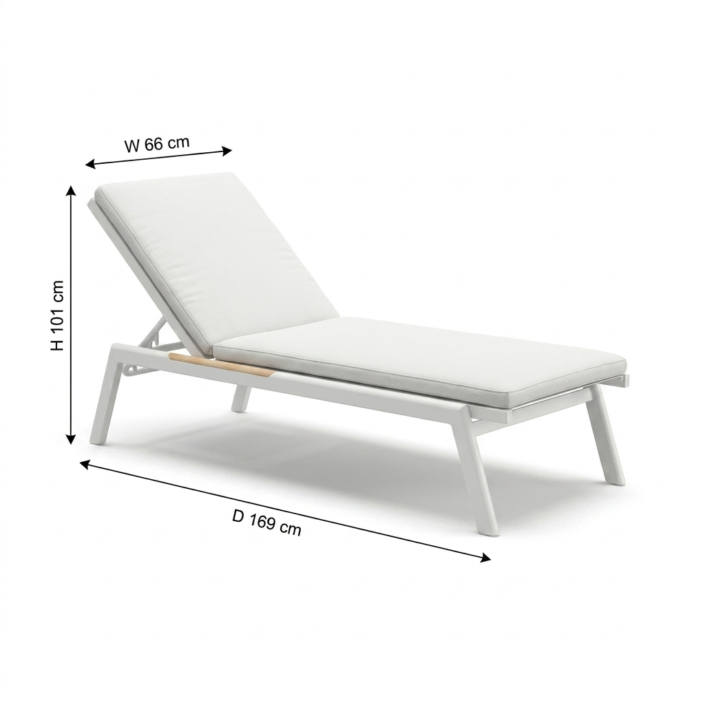 Modern Outdoor Aluminum Sun Lounger LEVITA-DL04P3-5